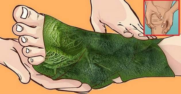 Боль в суставах больше не беспокоит: лечение капустным листом