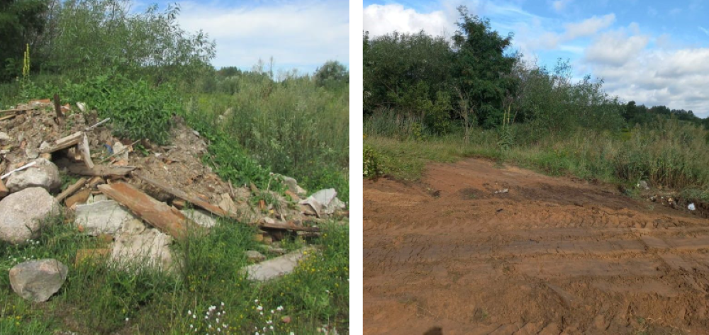 В Слонимском и еще трех районах Гродненщины выявлены несанкционированные свалки и незаконное спиливание деревьев