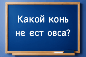 Школьники отвечают мгновенно, а взрослые теряются. А вы справитесь?