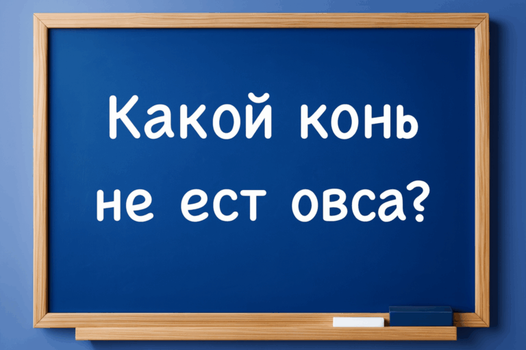 Школьники отвечают мгновенно, а взрослые теряются. А вы справитесь?