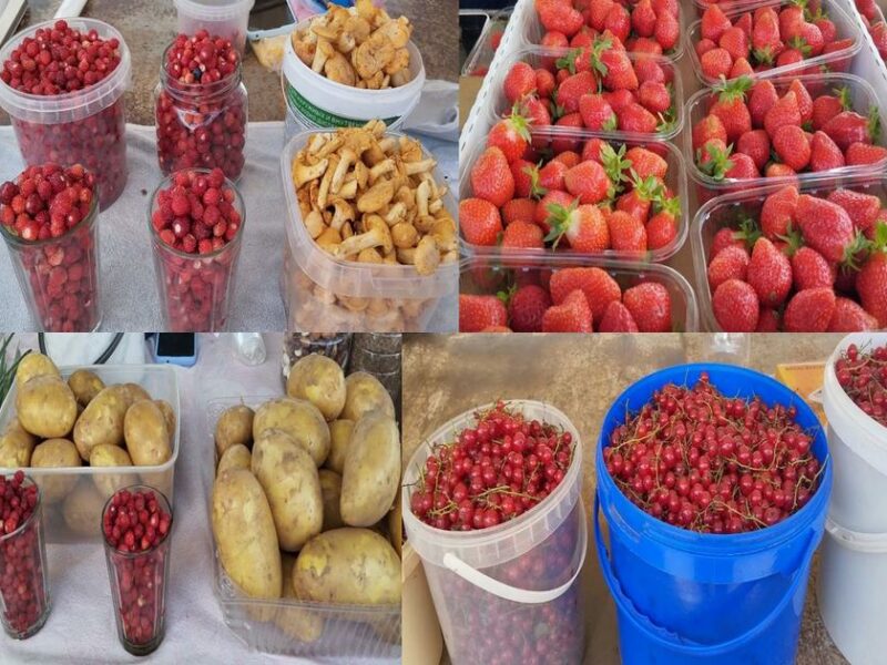 Лисички и земляника. Сколько стоят лесные дары на рынке в Слониме