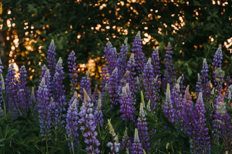 Жителей Гродненской области ждут дожди и ветер в последний июньский выходной