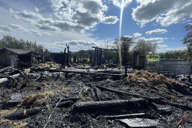 Огонь вспыхнул в один миг: в Сморгонском районе сгорели две хозпостройки