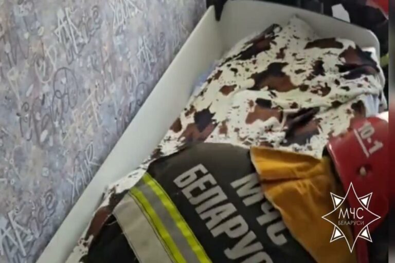 Утро началось с визита незваной гостьи — пришлось вызывать спасателей