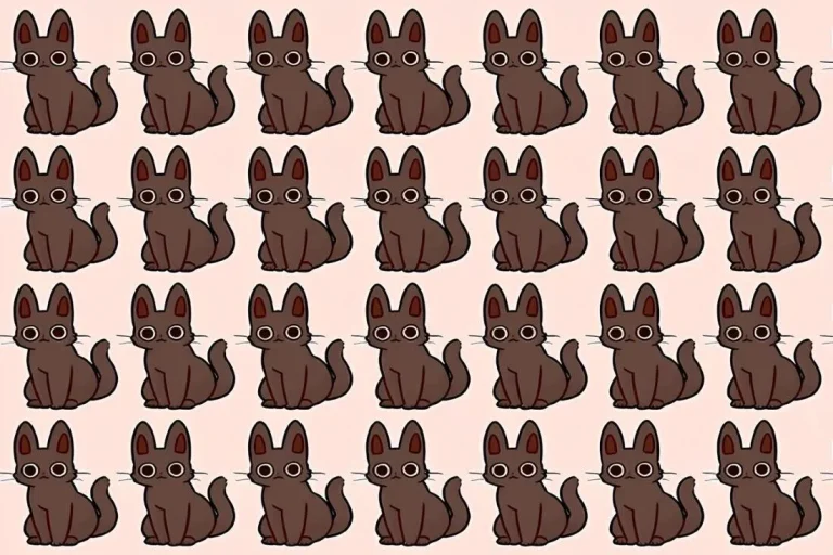 Тест на IQ: найдите кота, который отличается от других, за 15 секунд
