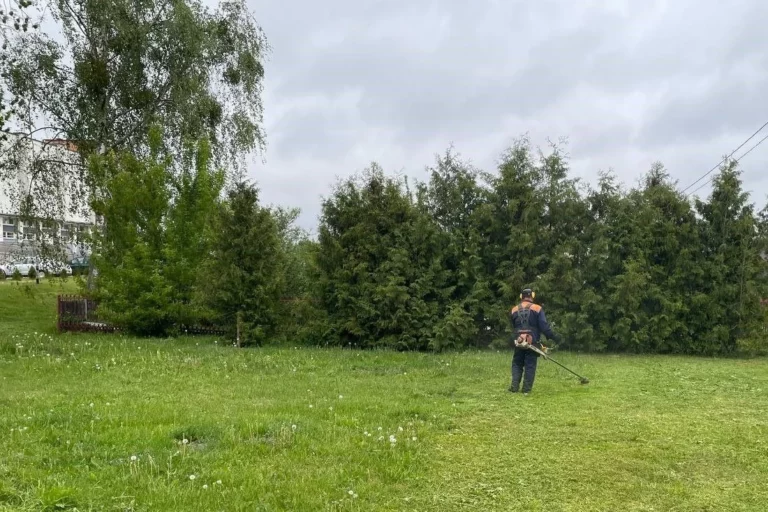 «Ни один участок не останется незамеченным». Как организовано скашивание газонов в Слониме, рассказали в ЖКЖ