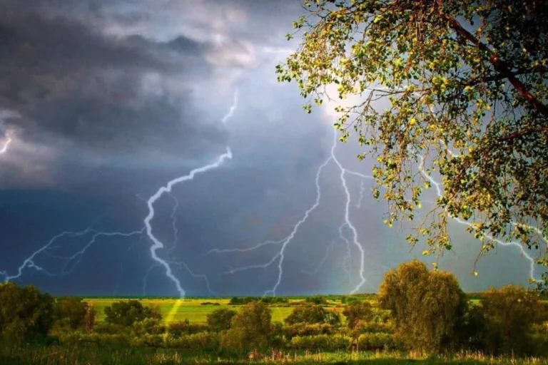 Прощай, жара: в Беларусь снова идут дожди и грозы