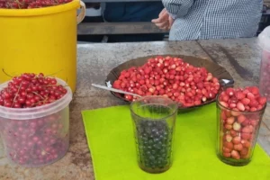 В Слониме на рынке продают чернику и землянику. Сколько стоят ягоды этим летом?