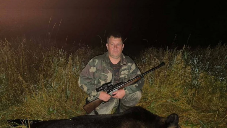 На Витебщине добыли уже седьмого медведя в этом сезоне