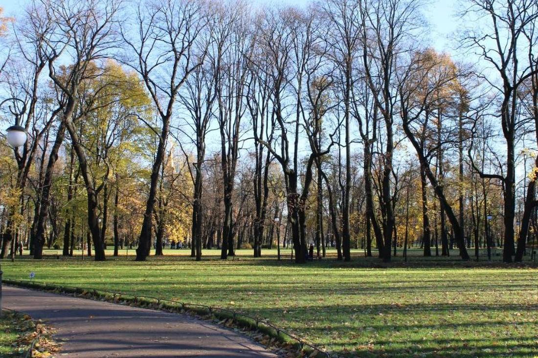 Эта примета 27 ноября сулит жаркое лето