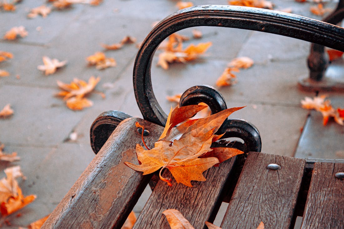 Столбик термометра опускается все ниже: о погоде на Гродненщине 19-21 ноября