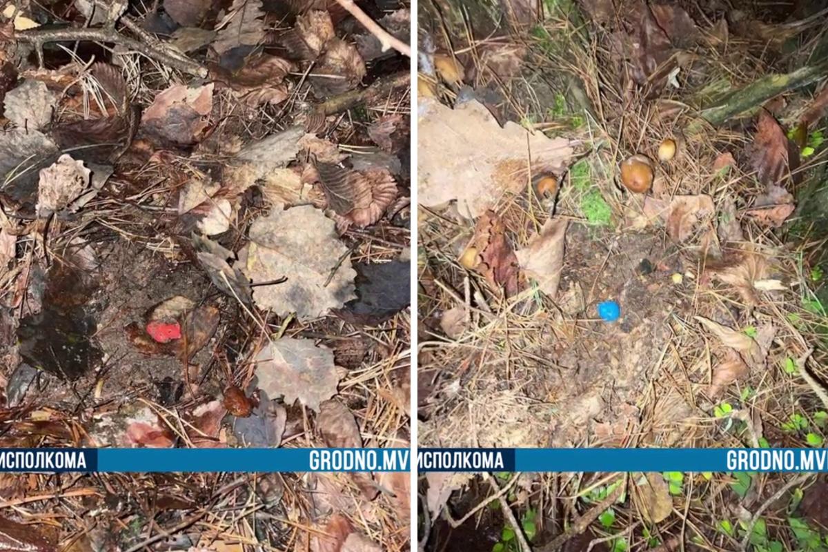 В Гродно задержали закладчика —  теперь ему грозит до 20 лет тюрьмы